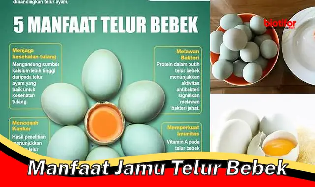 manfaat jamu telur bebek