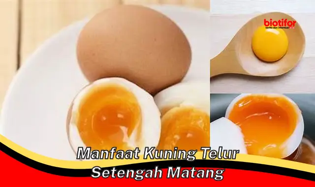 manfaat kuning telur setengah matang