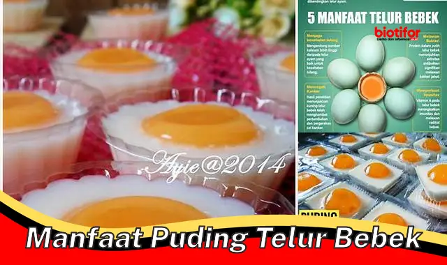 manfaat puding telur bebek