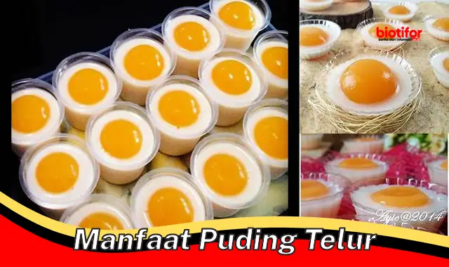 manfaat puding telur