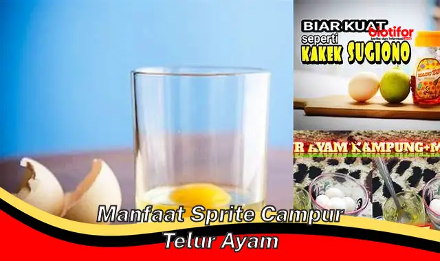 manfaat sprite campur telur ayam