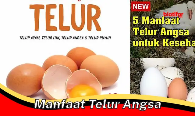 manfaat telur angsa