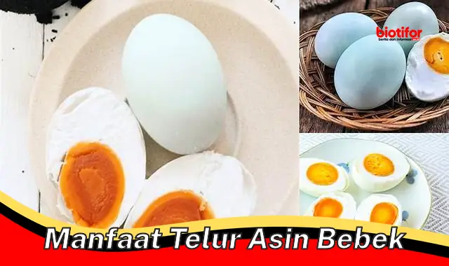 manfaat telur asin bebek