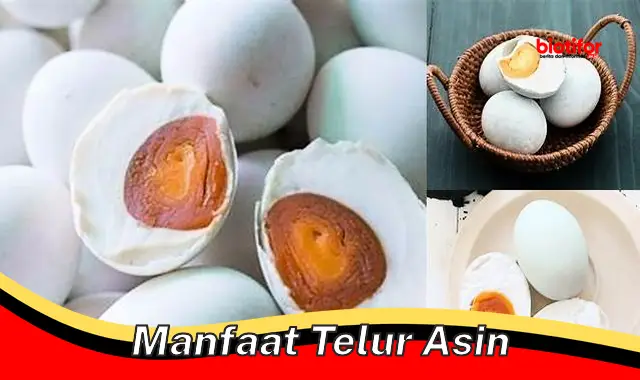 manfaat telur asin