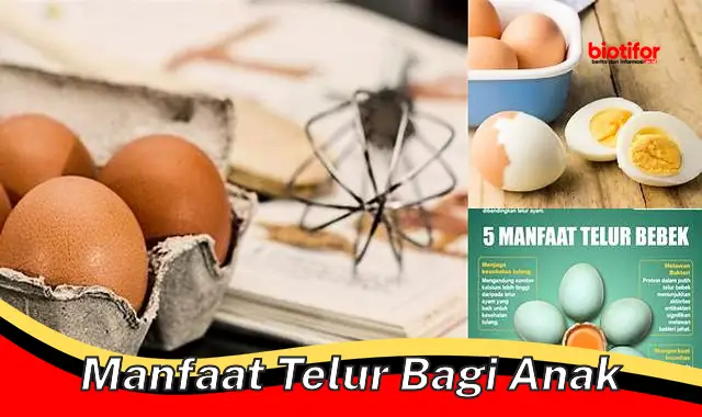 manfaat telur bagi anak