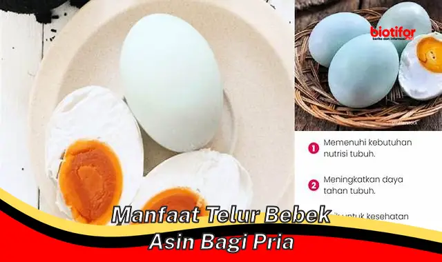 manfaat telur bebek asin bagi pria