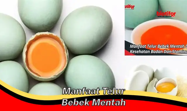 manfaat telur bebek mentah