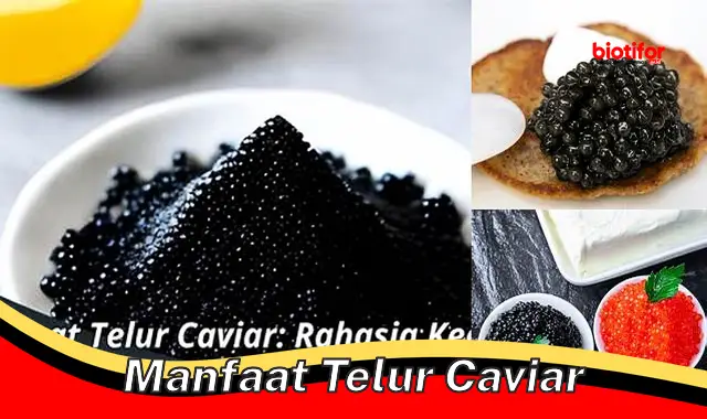 manfaat telur caviar