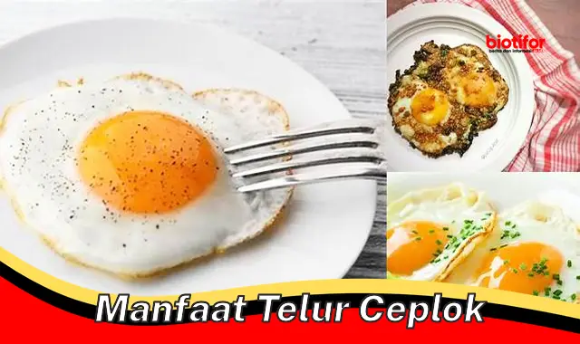 manfaat telur ceplok