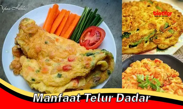 manfaat telur dadar