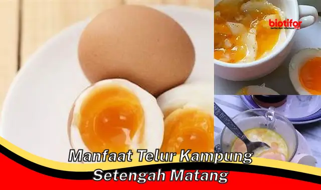 manfaat telur kampung setengah matang