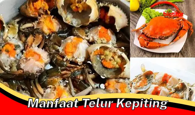 manfaat telur kepiting