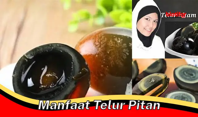 manfaat telur pitan