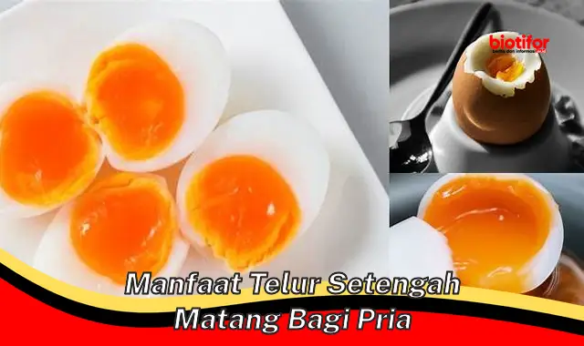 manfaat telur setengah matang bagi pria