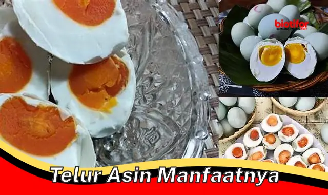 telur asin manfaatnya