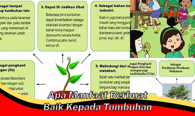 5 Manfaat Berbuat Baik Kepada Tumbuhan yang Jarang Diketahui