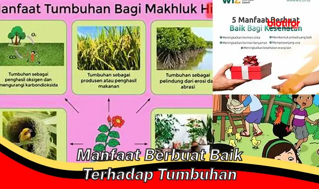 manfaat berbuat baik terhadap tumbuhan