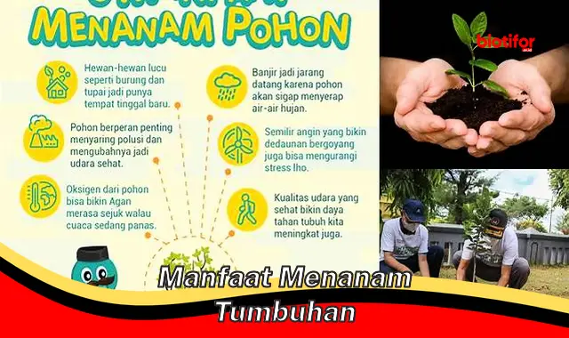 manfaat menanam tumbuhan