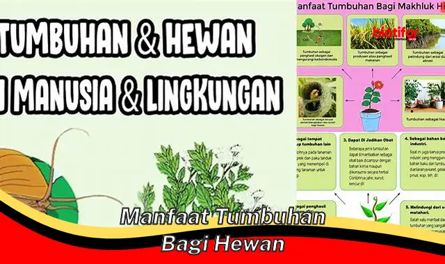 manfaat tumbuhan bagi hewan