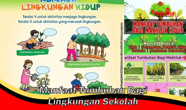 manfaat tumbuhan bagi lingkungan sekolah