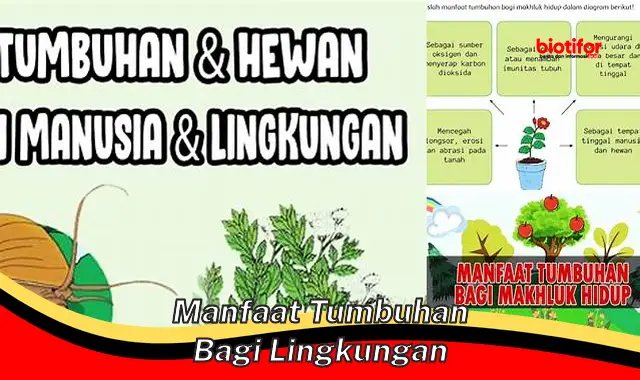 manfaat tumbuhan bagi lingkungan