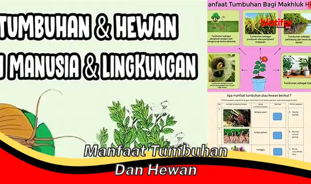 manfaat tumbuhan dan hewan