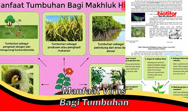 Temukan Manfaat Virus Bagi Tumbuhan Yang Jarang Diketahui