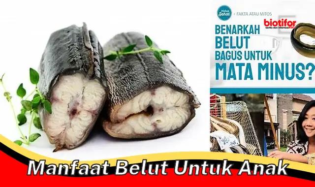 manfaat belut untuk anak