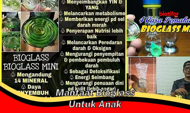 manfaat bioglass untuk anak