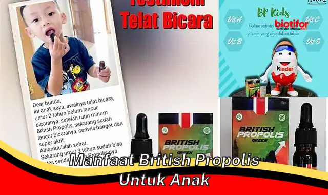 manfaat british propolis untuk anak