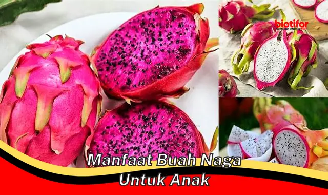 manfaat buah naga untuk anak