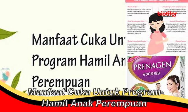 manfaat cuka untuk program hamil anak perempuan