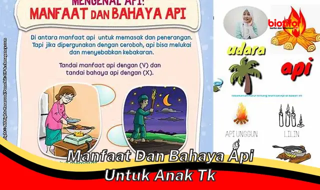 manfaat dan bahaya api untuk anak tk