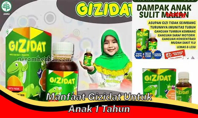 manfaat gizidat untuk anak 1 tahun