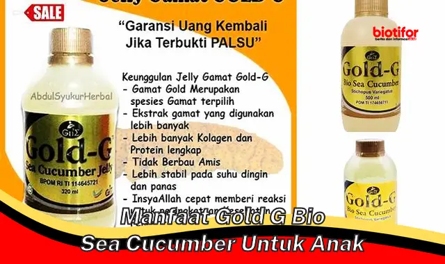 manfaat gold g bio sea cucumber untuk anak