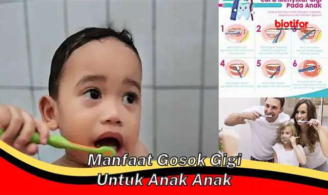 manfaat gosok gigi untuk anak anak