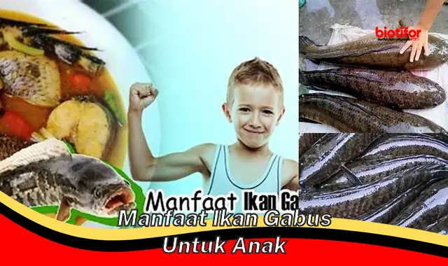 manfaat ikan gabus untuk anak