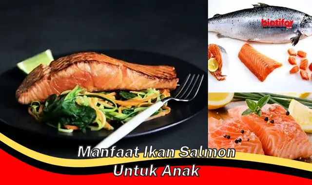 manfaat ikan salmon untuk anak