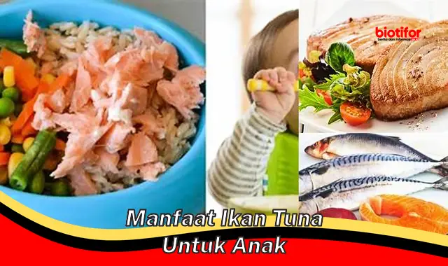 5 Manfaat Ikan Tuna Untuk Anak yang Jarang Diketahui Orangtua