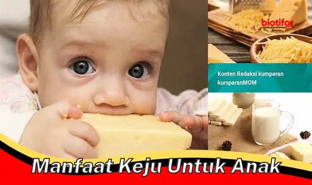 manfaat keju untuk anak