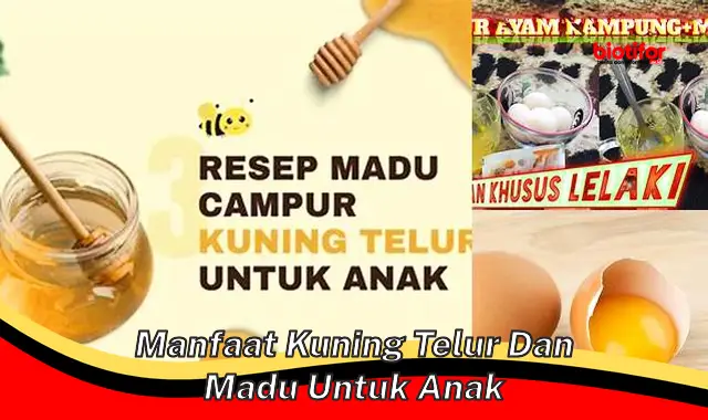 manfaat kuning telur dan madu untuk anak