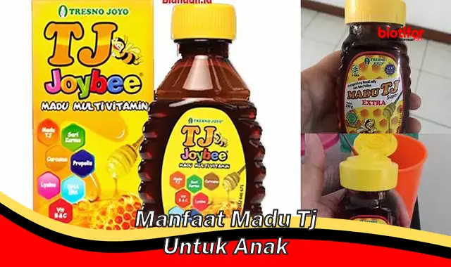 manfaat madu tj untuk anak