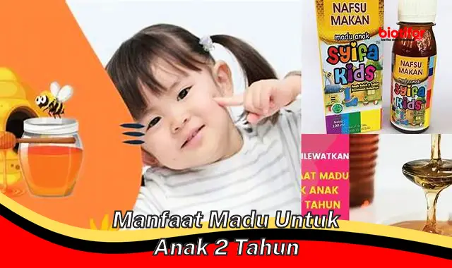 manfaat madu untuk anak 2 tahun