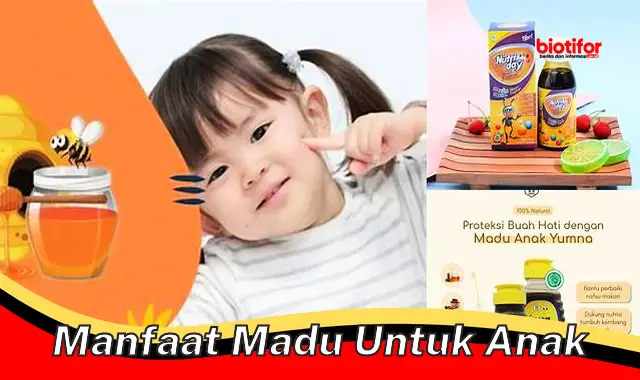 manfaat madu untuk anak