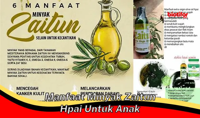 manfaat minyak zaitun hpai untuk anak