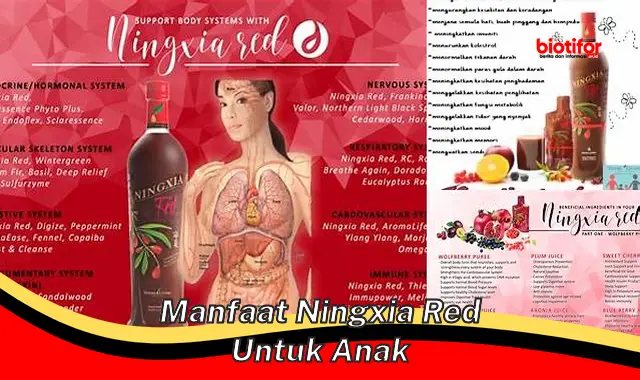 manfaat ningxia red untuk anak