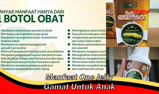 manfaat qnc jelly gamat untuk anak