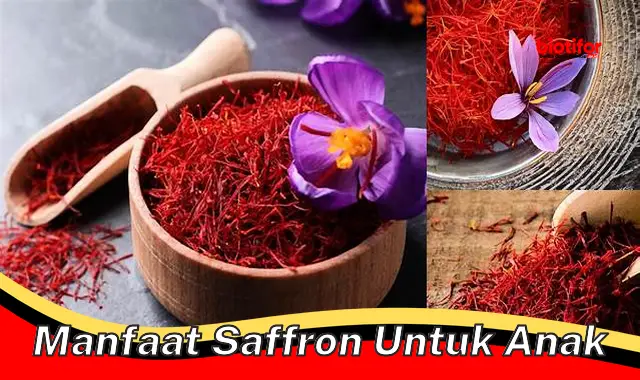 manfaat saffron untuk anak