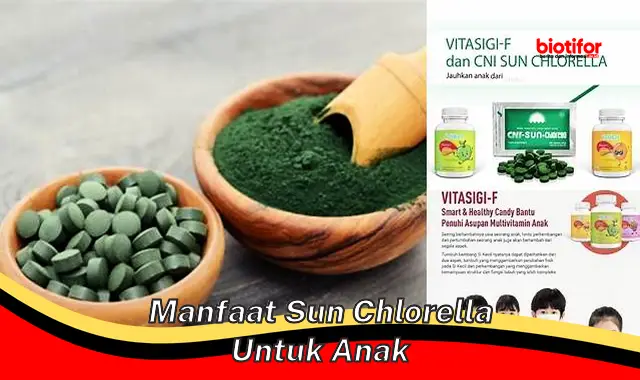 manfaat sun chlorella untuk anak