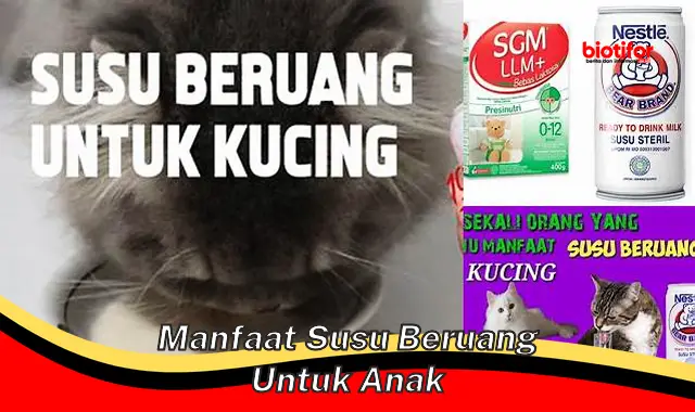 manfaat susu beruang untuk anak